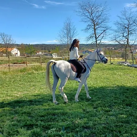 Quinta Da Carreirinha Tatil Evi Vila Franca das Naves