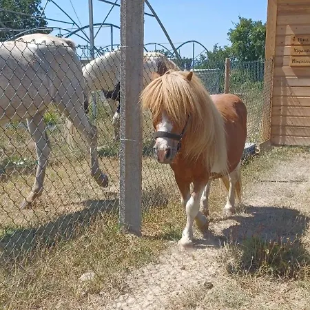 Quinta Da Carreirinha Casa de Férias Vila Franca das Naves
