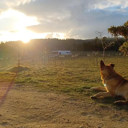 Quinta Da Carreirinha *