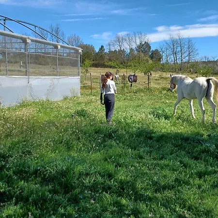 Quinta Da Carreirinha