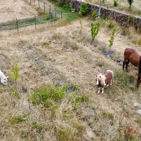 Quinta Da Carreirinha Vila Franca das Naves