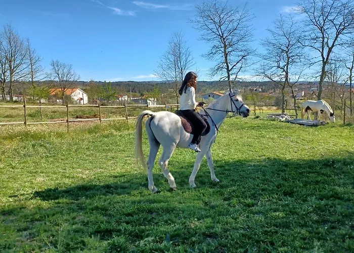 Quinta Da Carreirinha 펜션 Vila Franca das Naves