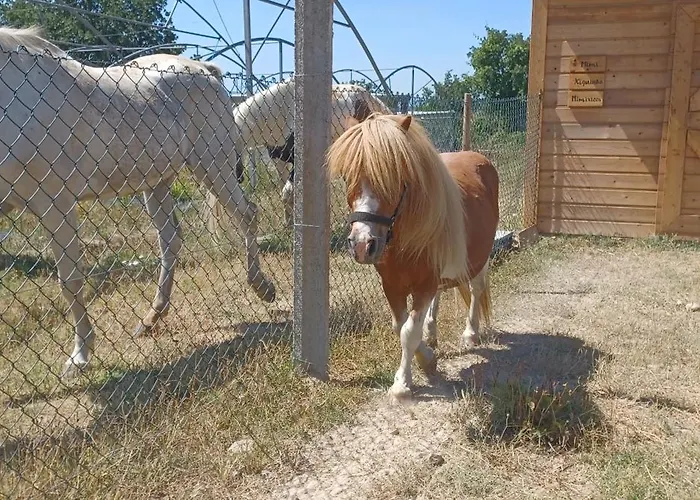 Quinta Da Carreirinha 펜션 Vila Franca das Naves