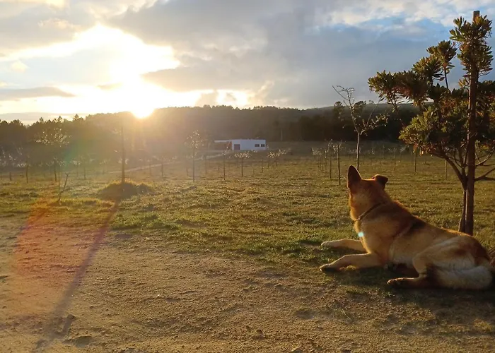 Quinta Da Carreirinha *