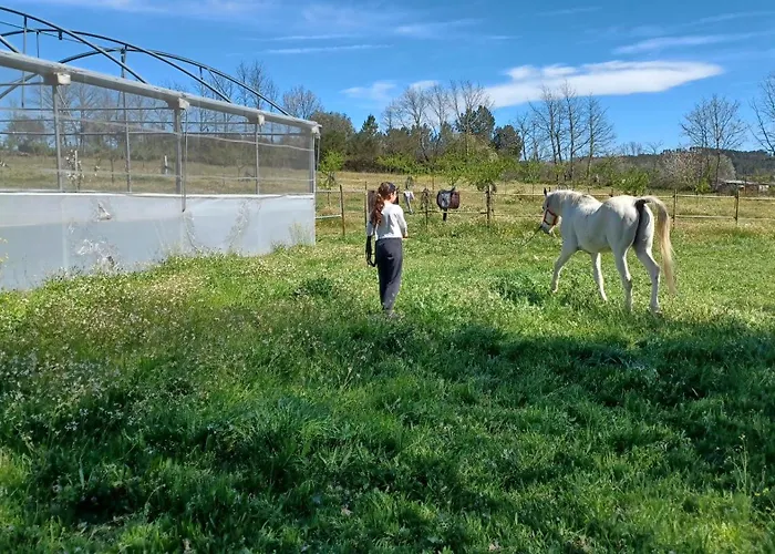 Quinta Da Carreirinha