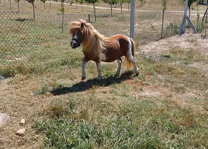 Quinta Da Carreirinha Дом отдыха Vila Franca das Naves